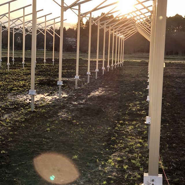 今回も直線に揃ってバッチリ！