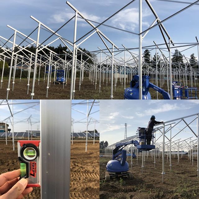 ソーラーシェアリングの筋交いをつけてます！