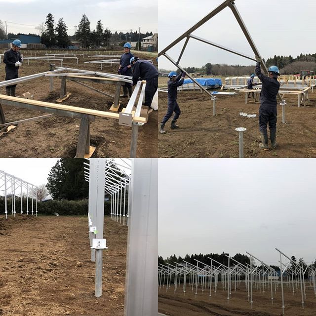 ソーラーシェアリングの架台建てです！
