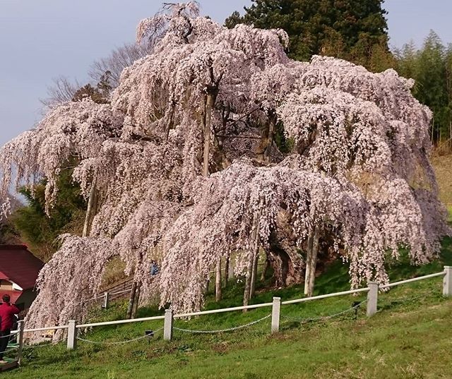 福島ドライブ(4)