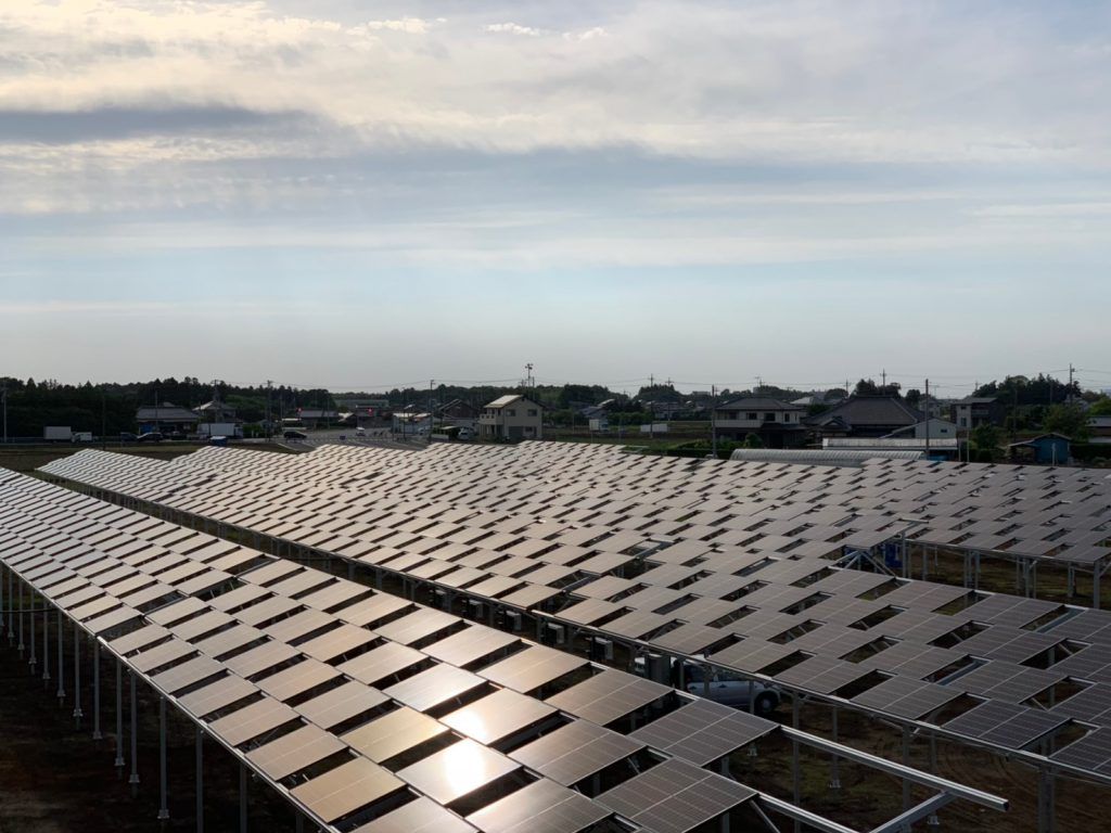ソーラーシェアリング現場