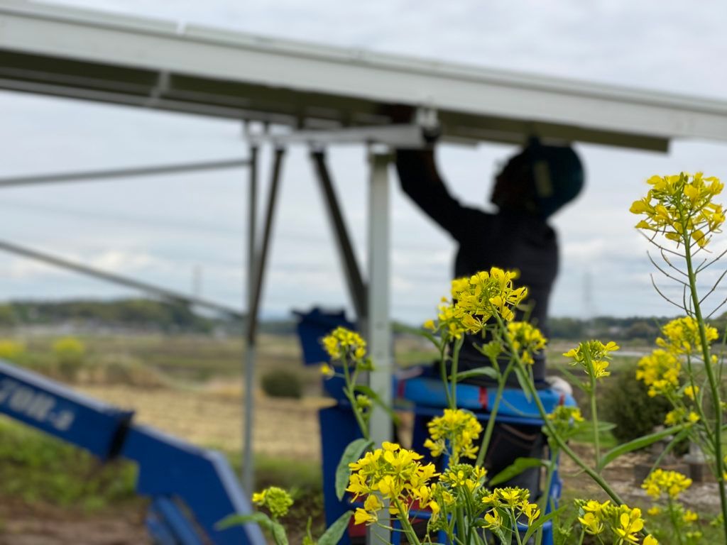 つくば市　蓄電池　太陽光発電　自社施工　太陽光発電の現場作業、いよいよ終盤です！