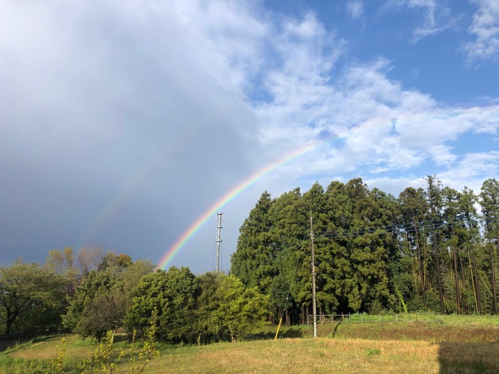 稲敷市　蓄電池　太陽光発電　工事　業者　FIT制度　固定価格買取制度　国民全負担