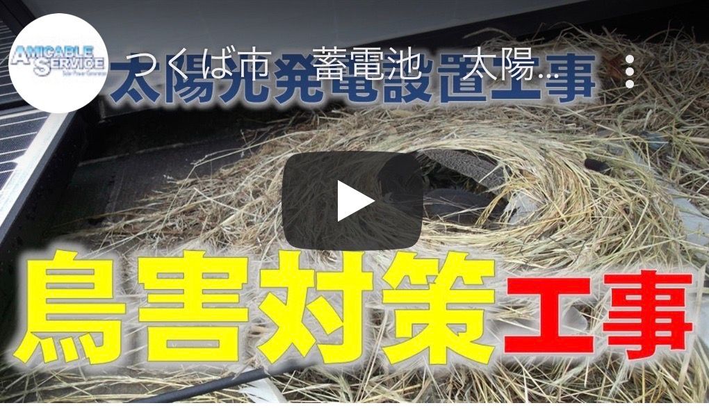 牛久市　蓄電池　太陽光発電　自社施工　業者　工事　鳥害駆除　メンテナンス　発電量不足