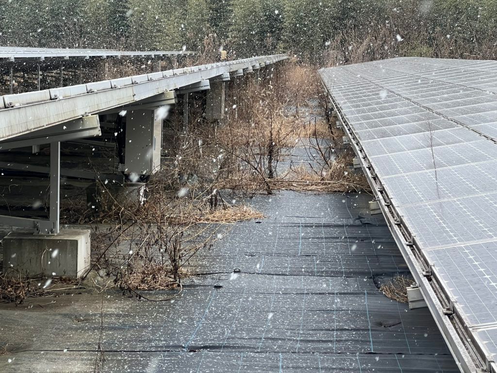 茨城県　取手市　蓄電池　太陽光発電　自社施工　アミカブルサービス　久しぶりの雪⛄