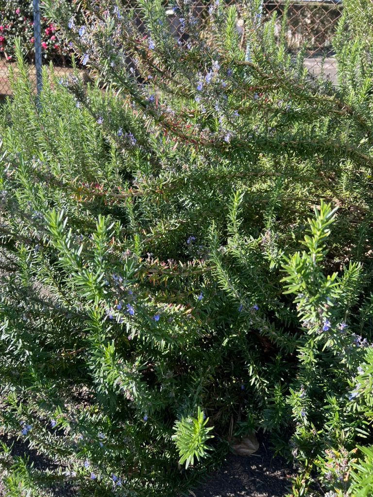 茨城県　石岡市　太陽光　蓄電池　アミカブルサービス　ホット一息できるひととき☆