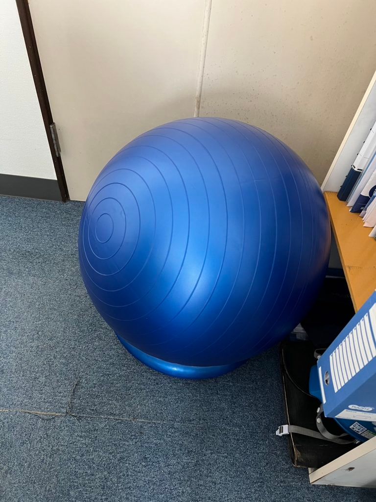 太陽光と蓄電池のアミカブルサービスにバランスボールがやって来ました！！