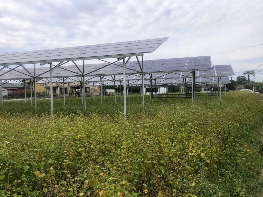 ソーラーシェアリングとは何？どのようなメリットがあるの？