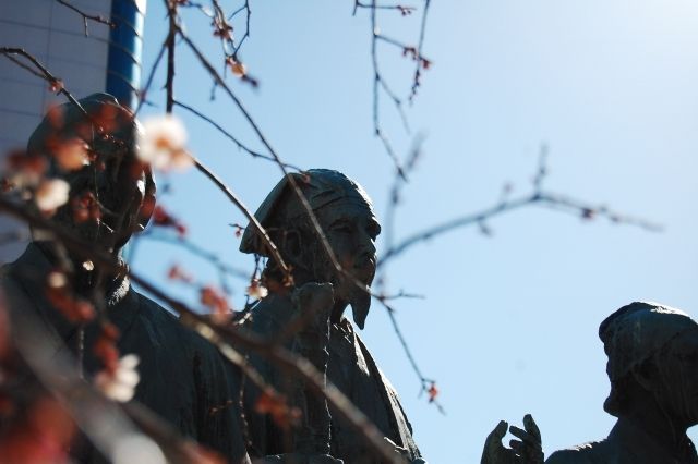 茨城県が太陽光発電に向いているって本当？