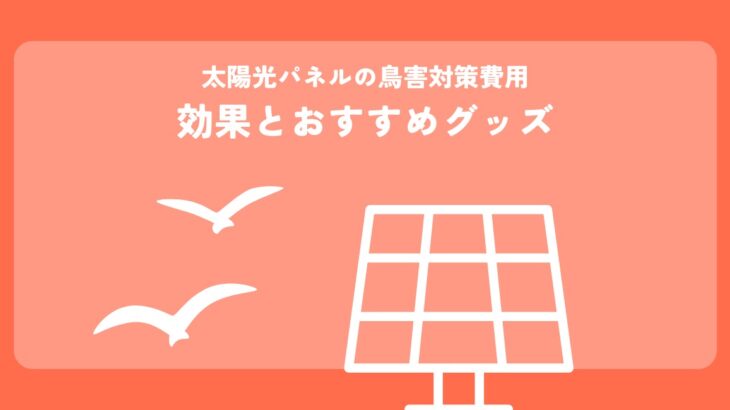 太陽光パネルの鳥害対策費用効果とおすすめグッズ