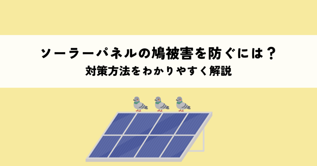 ソーラーパネルの鳩被害を防ぐには？対策方法をわかりやすく解説